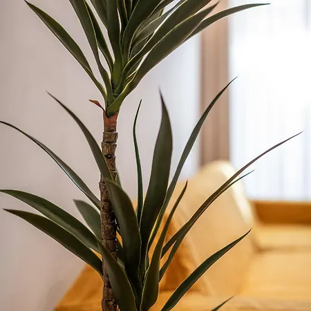 Blasius Affittacamere